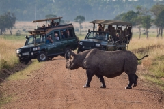 namibia-slideshow-image-5d761e987a164